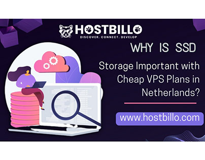 SSD Storage with Cheap VPS Plans in Netherlands