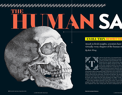Human Skull for Scientific American Magazine