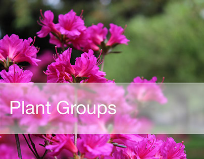 Plant Groups