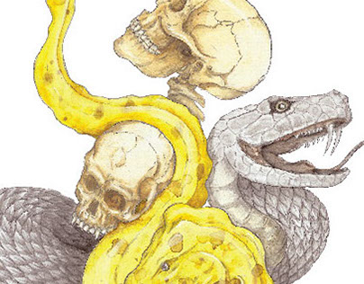 Horned Skull, Snake & Moray Eel 