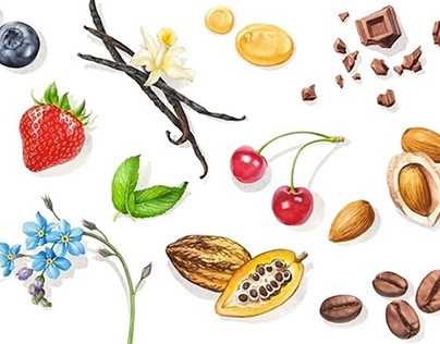 Ingredients & Nature Illustrations | IBACO