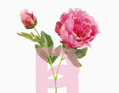 Typefaces Logo with Flower