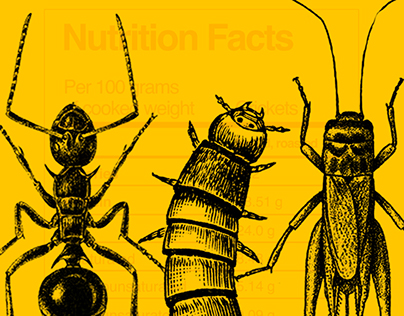 Edible Insects - Nutrition Facts
