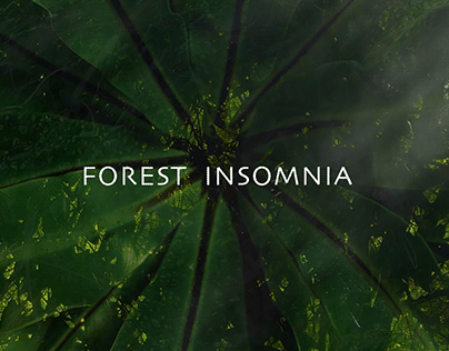 FOREST INSOMNIA