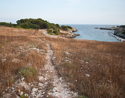Paesaggio di Puglia