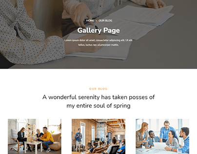 Business Gallary Website
