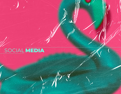 Bitividi | Social Media vol.1