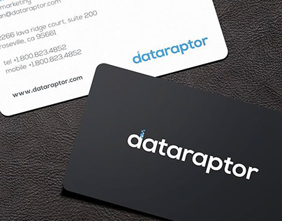 Dataraptor Business Cards