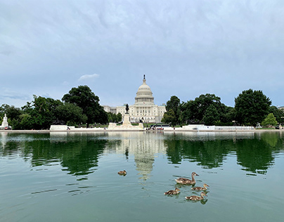 Capitol Reflecting Pool, Washighton, DC, United States