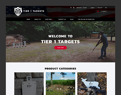 Tier 1 Targets // Web Design