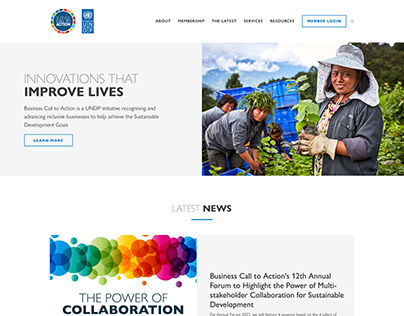 UNDP Business Call to Action | Squarespace Website