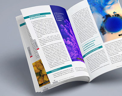 Diseño Editorial - Revista Científica