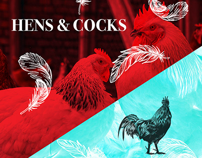 Hens&Cocks - Magaluf Urban Clothing