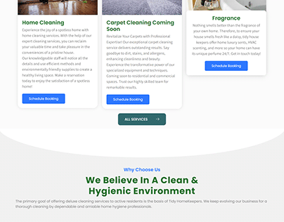 Tidy Cleaning Service website