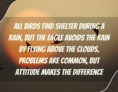 All birds find shelter during a rain
