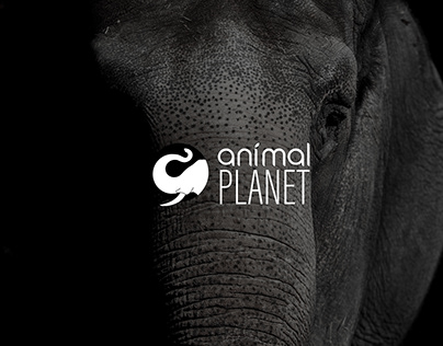 REBRANDING - Animal Planet