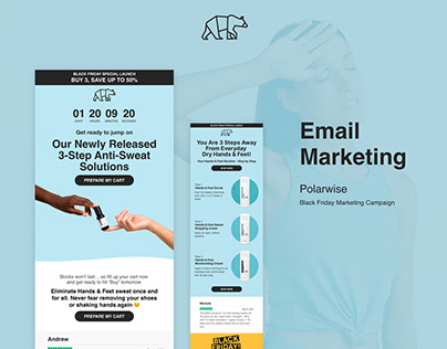 Design Email Marketing - Polarwise