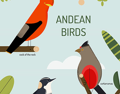 Andean Birds