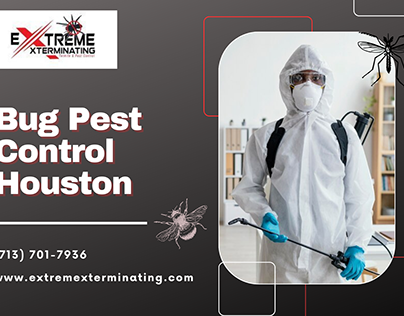Professional Bug Extermination in Houston