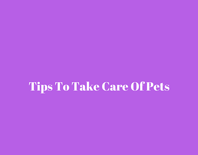 Tips To Take Care Of Pets