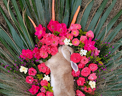 Bunny burial floral arrangement for client