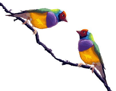 Colorful birds by PIEL