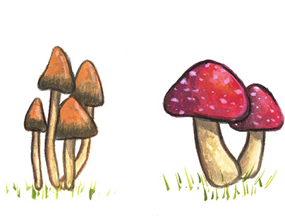 Ilustrações de Cogumelos