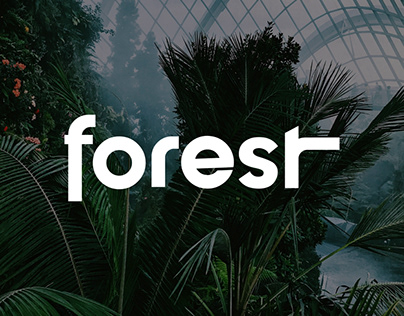 Forest Logo and Brand Identity
