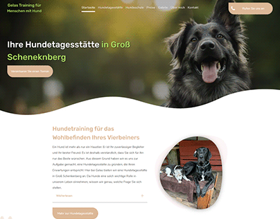 DOG CARE AND TRAINING WEBSITE DESIGN / UI DESIGN