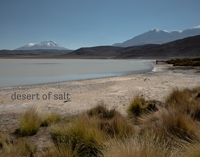 Desert of Salt