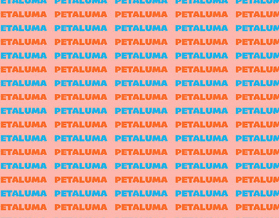 Petaluma Social Sustainability Report 2022