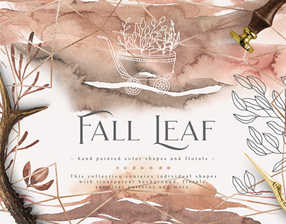 Fall Leaf Collection