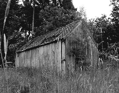 FORGOTTEN SHED
