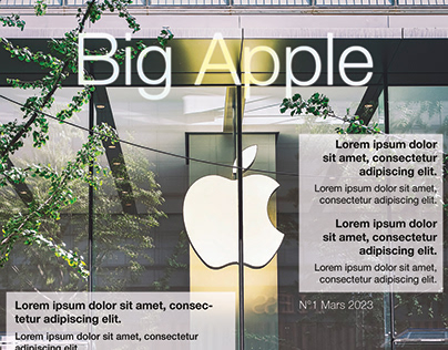 Magazine Apple InDesign