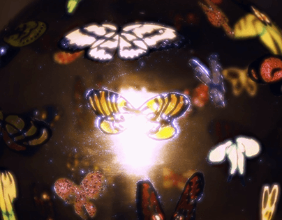 Project thumbnail - A Ball of Moths