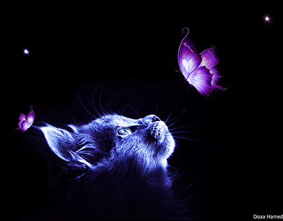 Cat and purple Butterfly