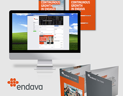 Visual materials for Endava