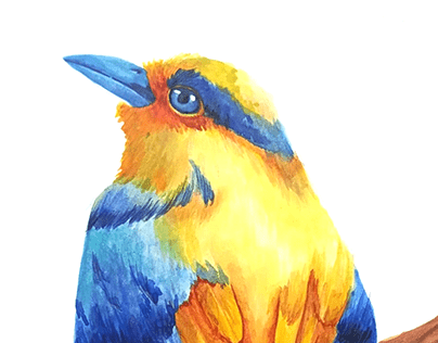 Bird Watercolor