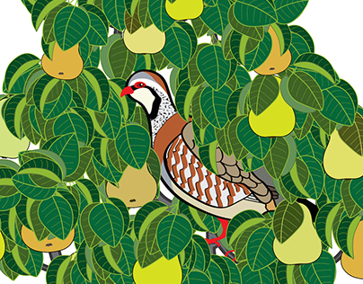 A Partridge in A Pear Tree