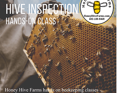 Honey Hive Farms Beekeeping Classes