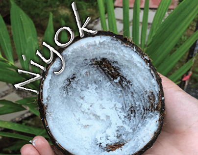Niyok - A Guide to Husking and Grating Coconut