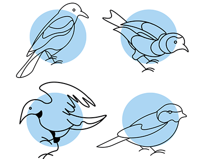 Birds Vectors