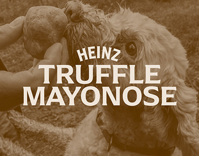 Heinz | Truffle Mayonose