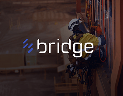Bridge Resources