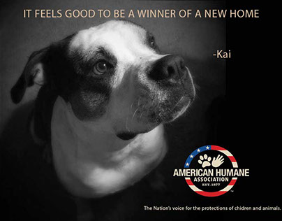 American Humane Association Ads