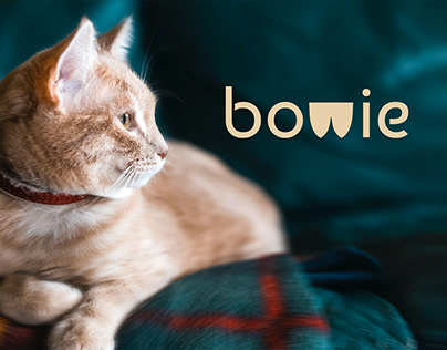 Bowie Cat Shop / Brand Identity
