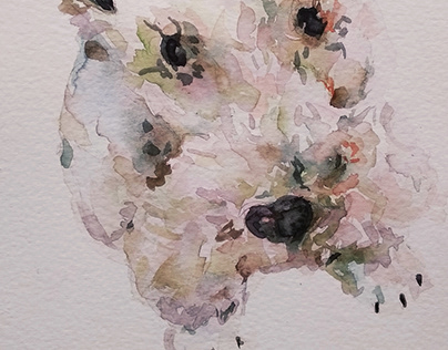 watercolor painting doggy