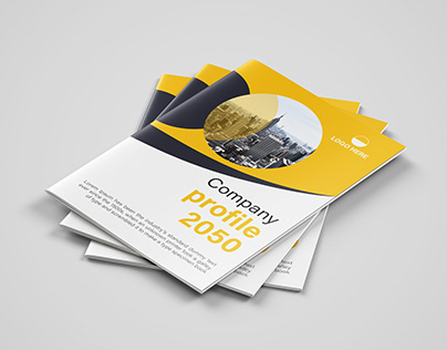 16 page company profile brochure design template
