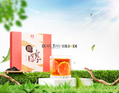 【DT田瑞冰摄影】普洱茶醇品蜜香甜醇木兰小金柑小龙柱TEA