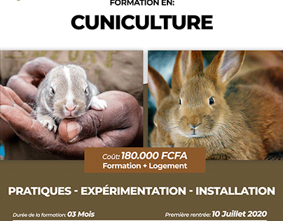 Formation en Cuniculture